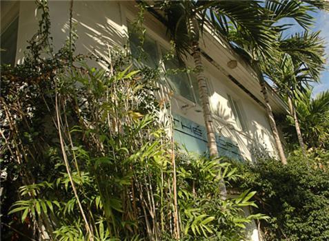 The Attic Vandrarhem Miami Beach Exteriör bild